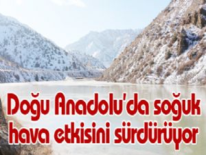 Doğu Anadolu'da soğuk hava etkisini sürdürüyor