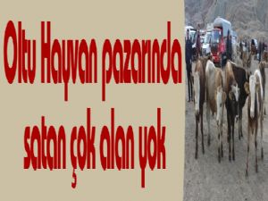 Oltu Hayvan pazarında satan çok alan yok