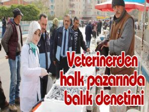 Veterinerden halk pazarında balık denetimi