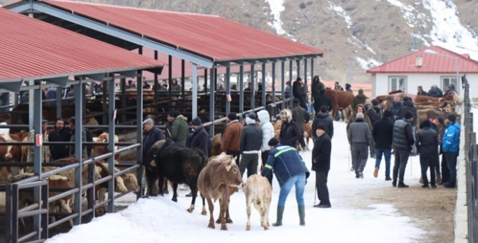 Hayvan pazarı yeniden açıldı