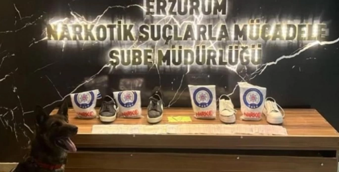 Narkotik köpekleri Su ve Magnum affetmiyor