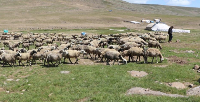 Tarımda örgütlü üretim önemli