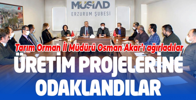 Üretim projelerine odaklandılar