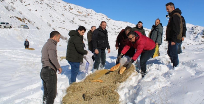 Yaban hayatını unutmadılar